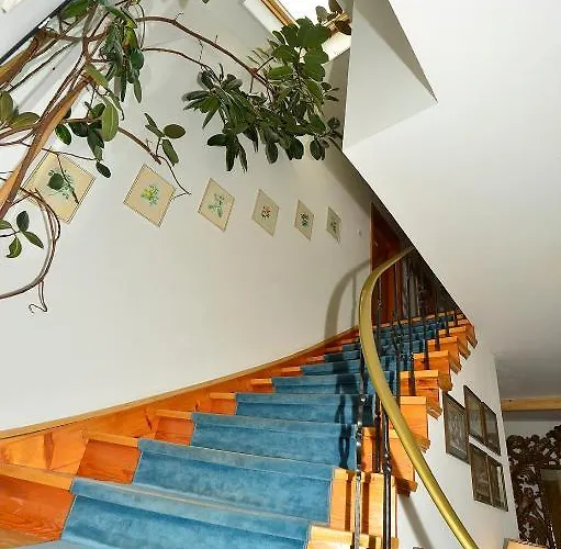 Haus Orplid بيت ضيافة 3*